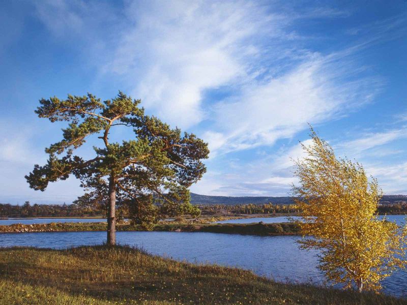 siberia dmfull17.jpg